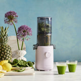 Refurbished H310 Easy Clean Slow Juicer Refurbished H310 Easy Clean Slow Juicer
