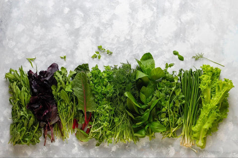 How to Pick the Best Juicer for Leafy Greens: A Buyer's Guide
