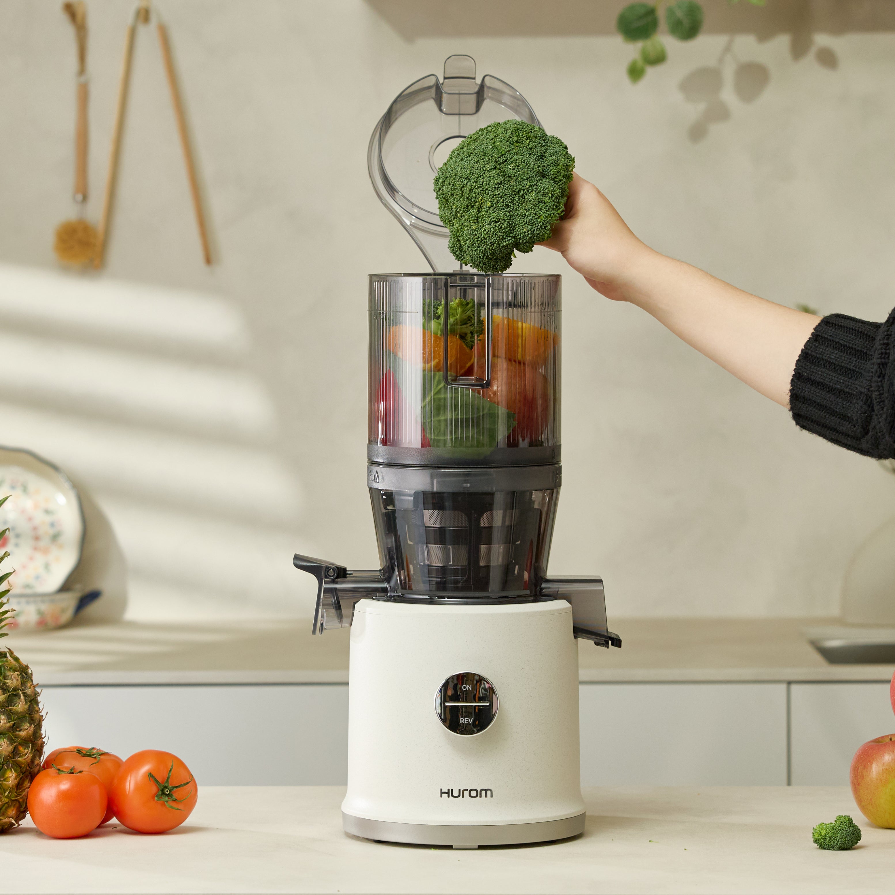 H80 Slow Juicer