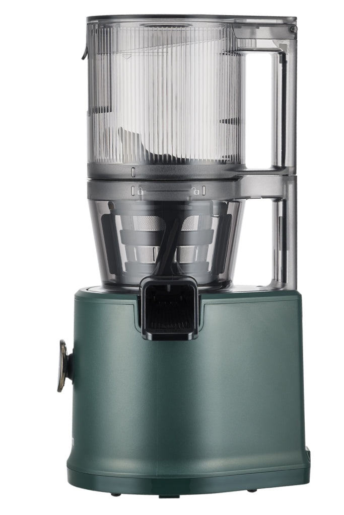 H80 Slow Juicer Kale