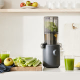 Hurom H310 Slow Juicer All in One Juicer Extractor Squeezer 5 colors - AC  220V