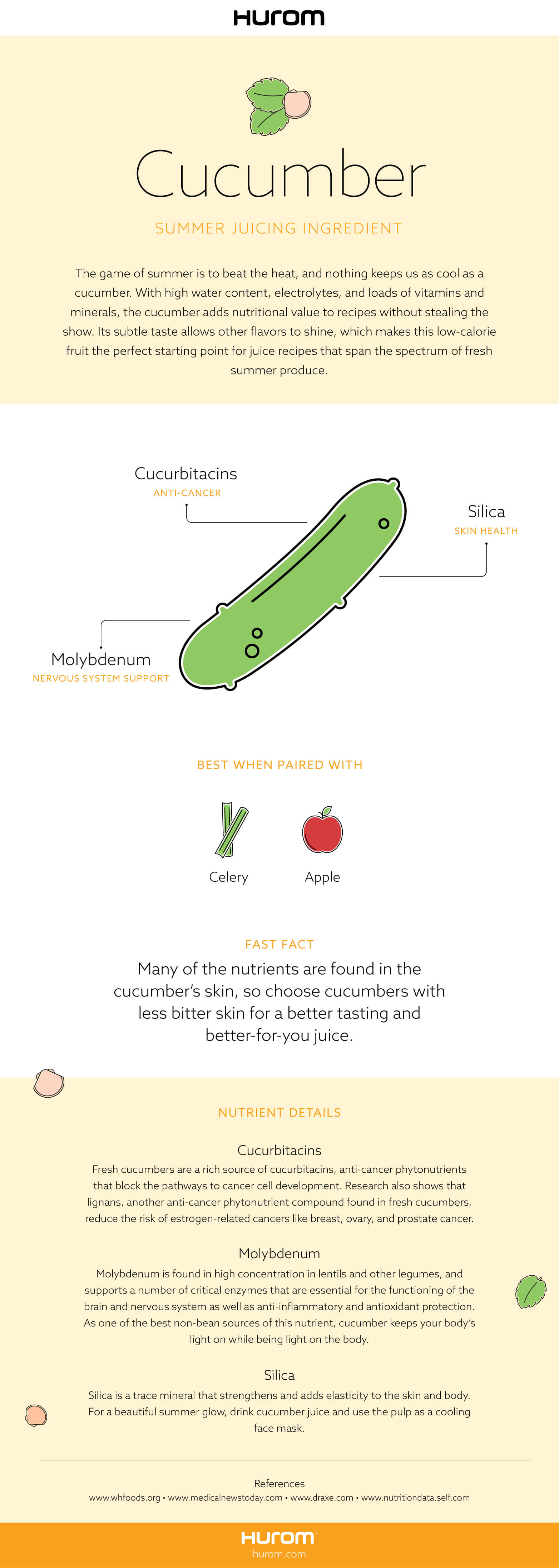 Cucumber Infographic
