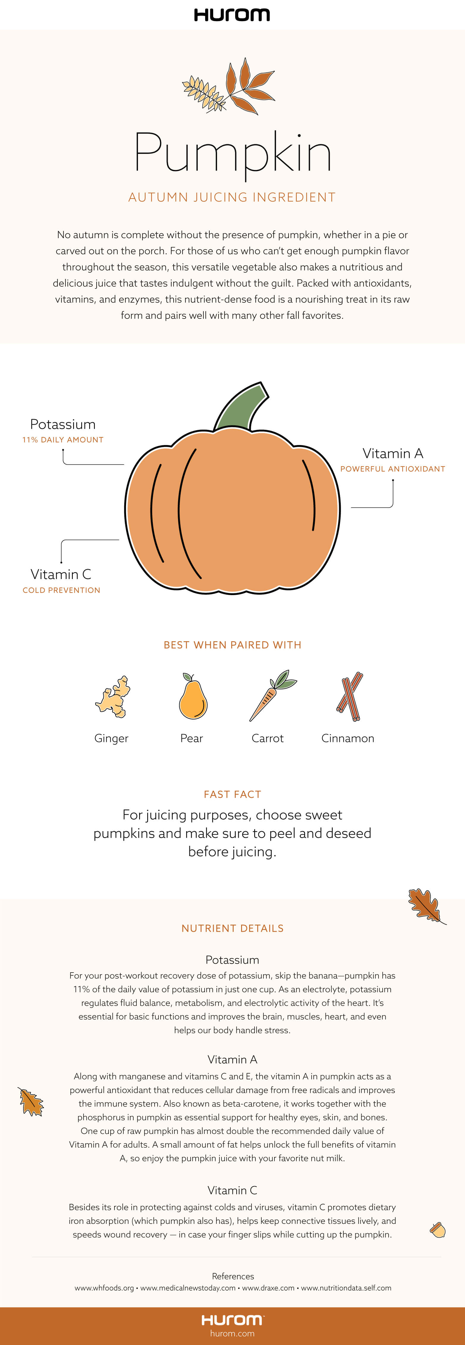 Pumpkin Infographic