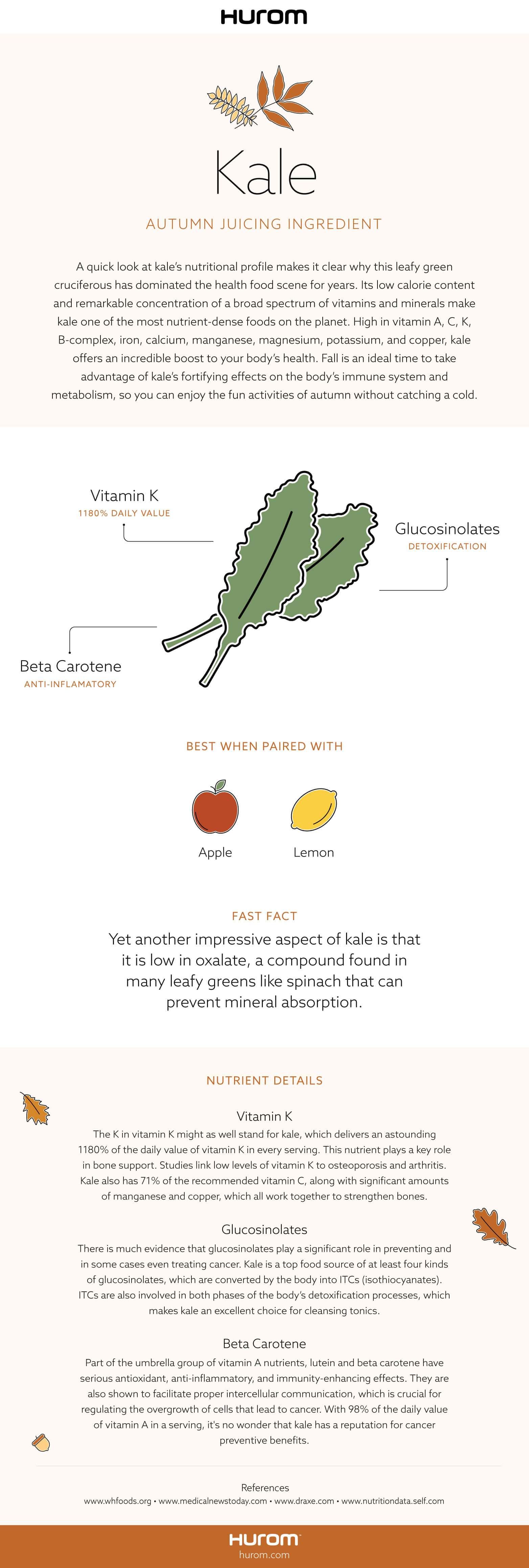 Kale Infographic