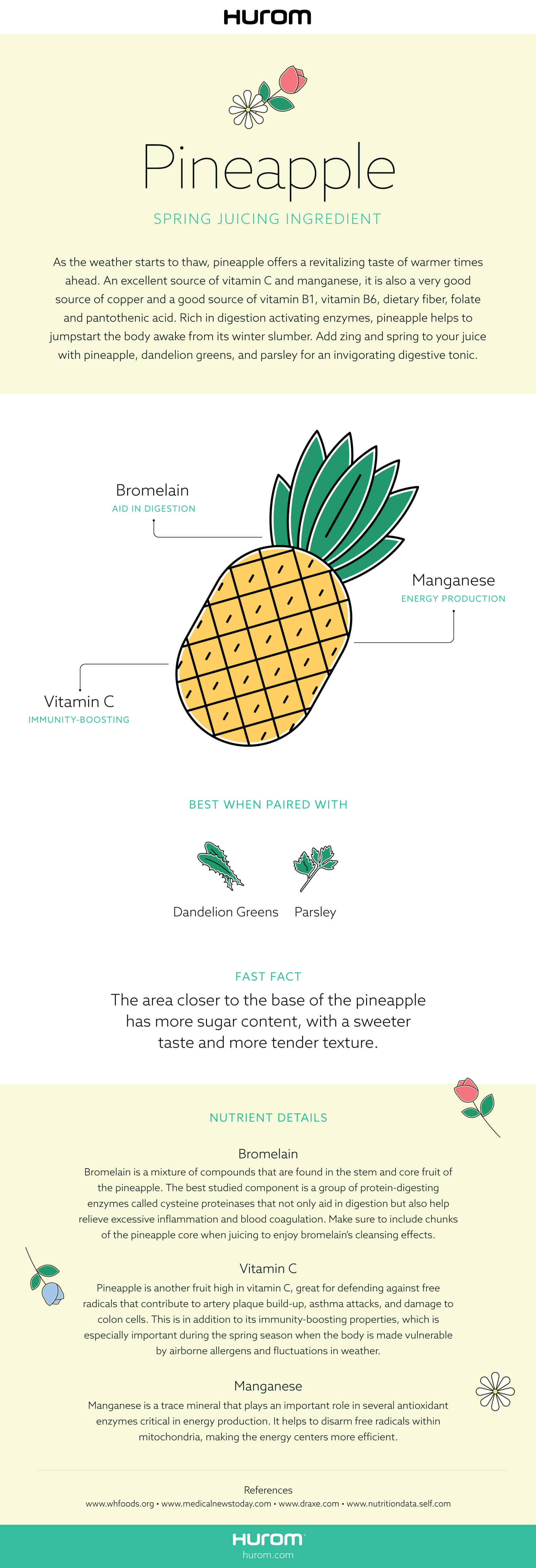 Pineapple Infographic