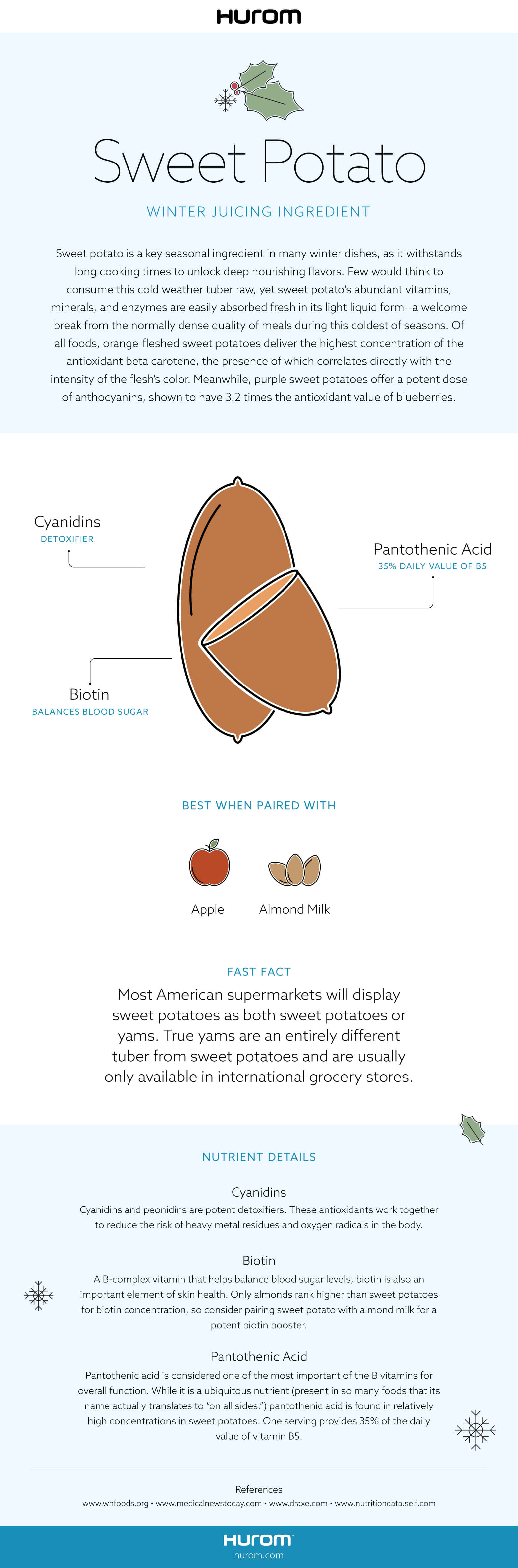 Sweet potato Infographic