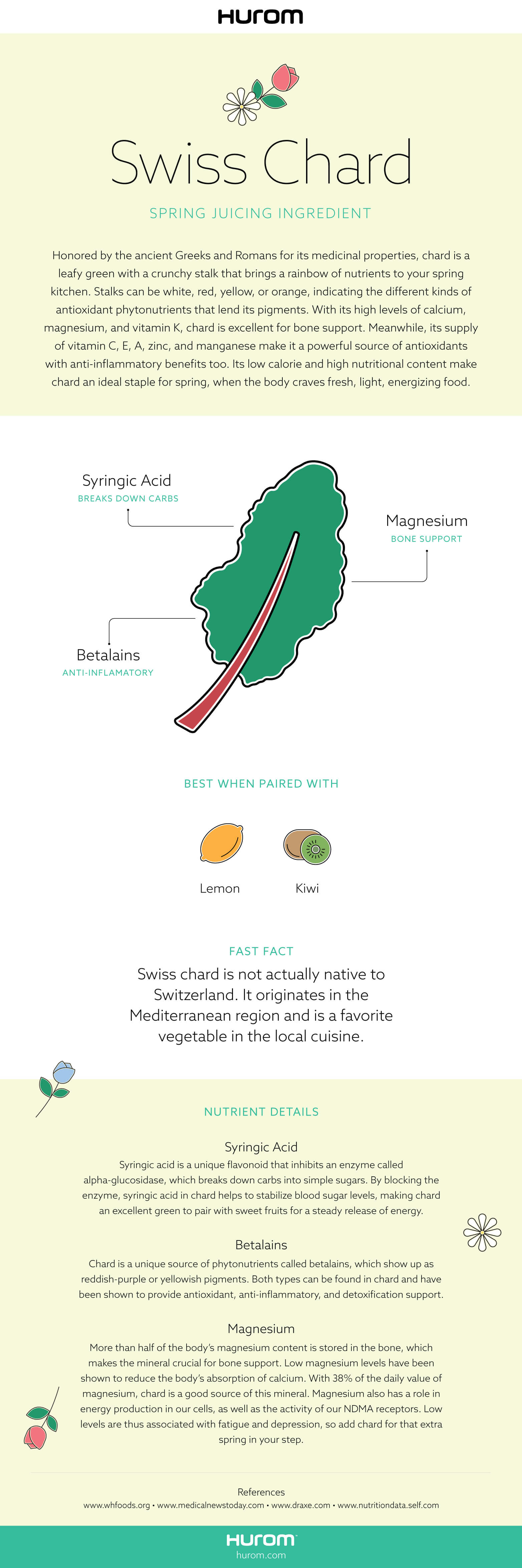 Swiss chard Infographic